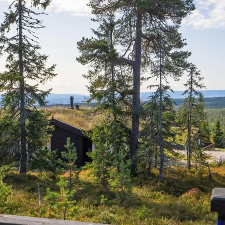 Guest house Staeren - Natur, Bal & Ski - Budor - 60 Min Osl 4*