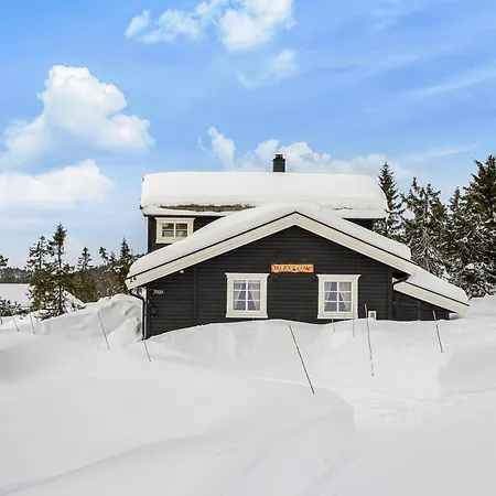 Guest house Staeren - Natur, Bal & Ski - Budor - 60 Min Osl